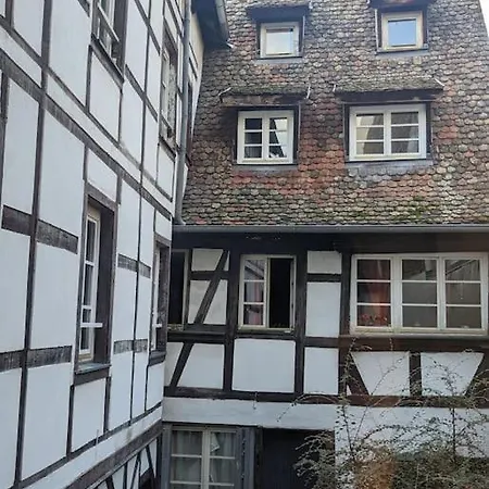Citycosy-strasbourg : Romantic Bateliers Lejlighed