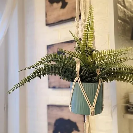 Citycosy-strasbourg : Romantic Bateliers Straßburg