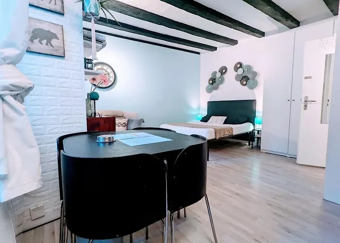 דירה Citycosy-strasbourg : Romantic Bateliers שטרסבורג